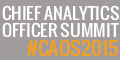 Chief Analytics Officer Summit