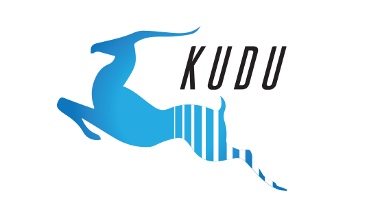 ApacheKudu
