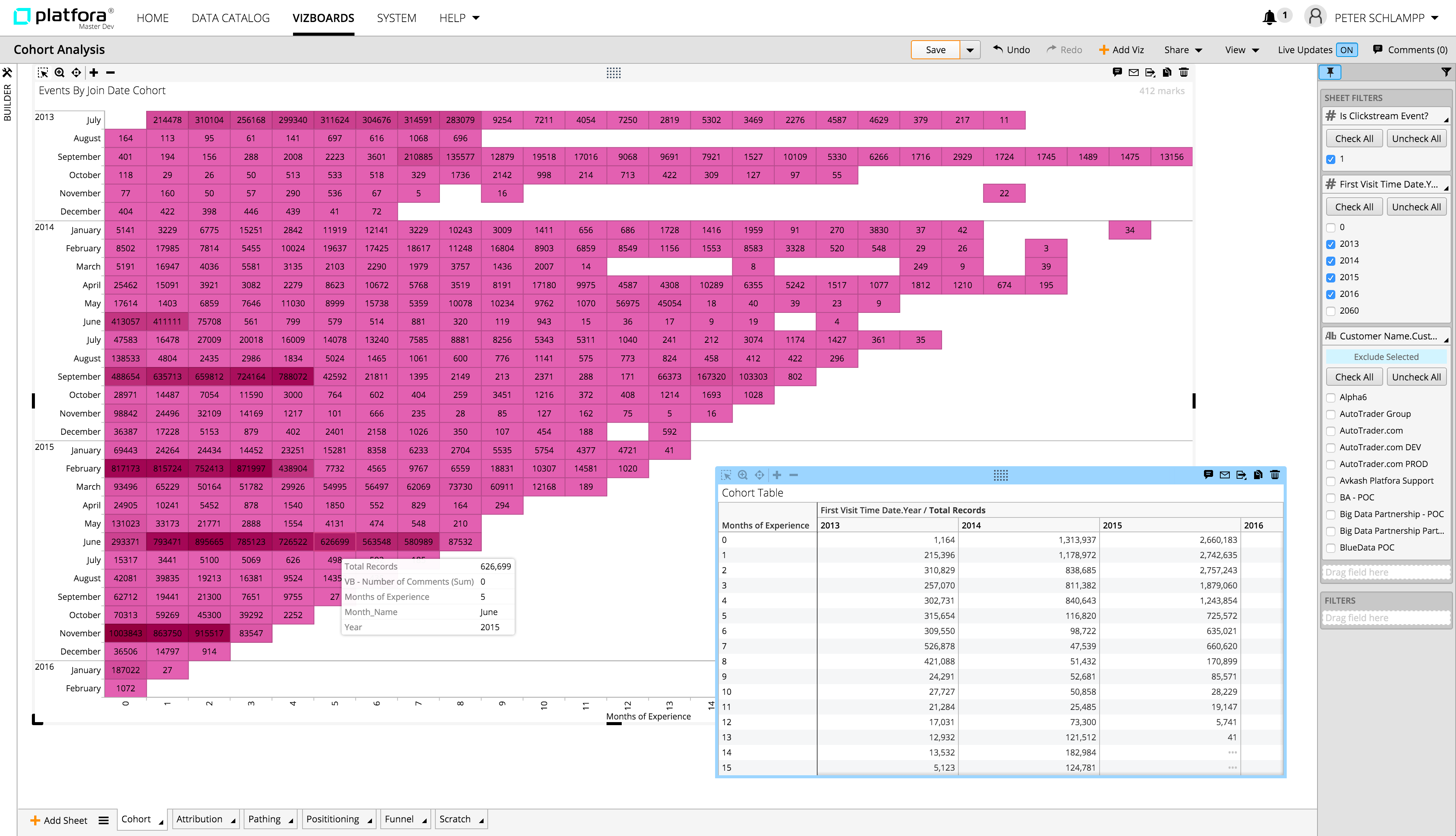 Platfora_-_Cohort_Analysis