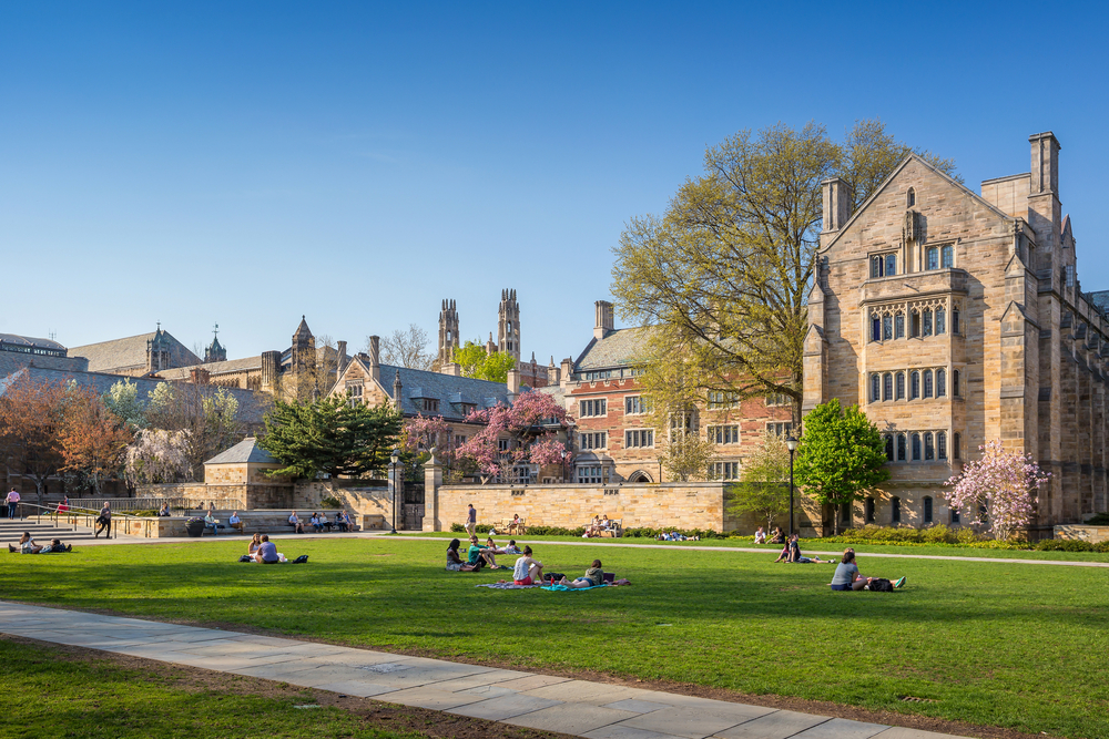 Universities are ramping up big data programs, but are struggling to find data science experts too ( f11photo/Shutterstock)